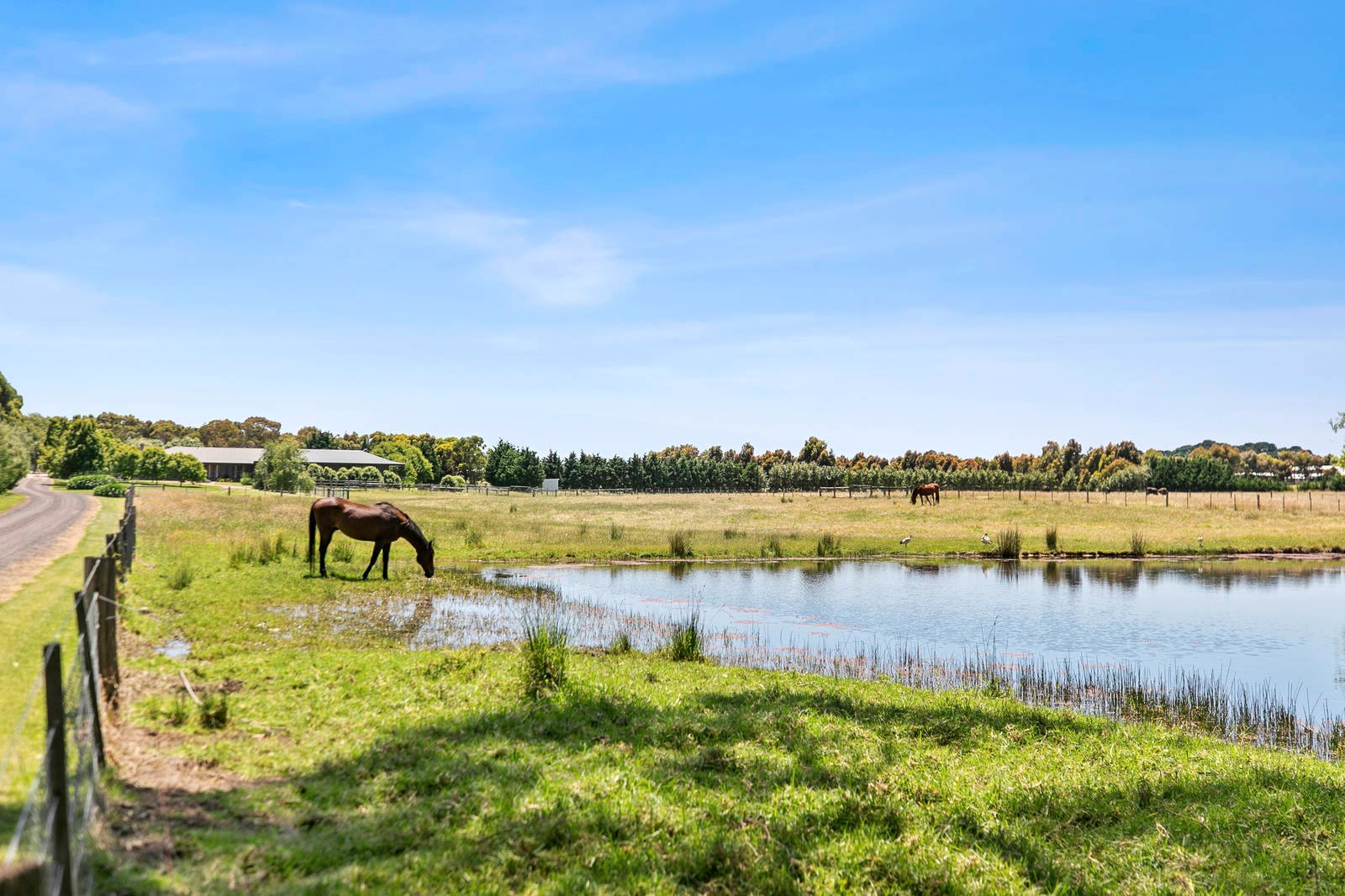 Real Estate and Property in 111-119 Rhinds Road, Wallington, VIC