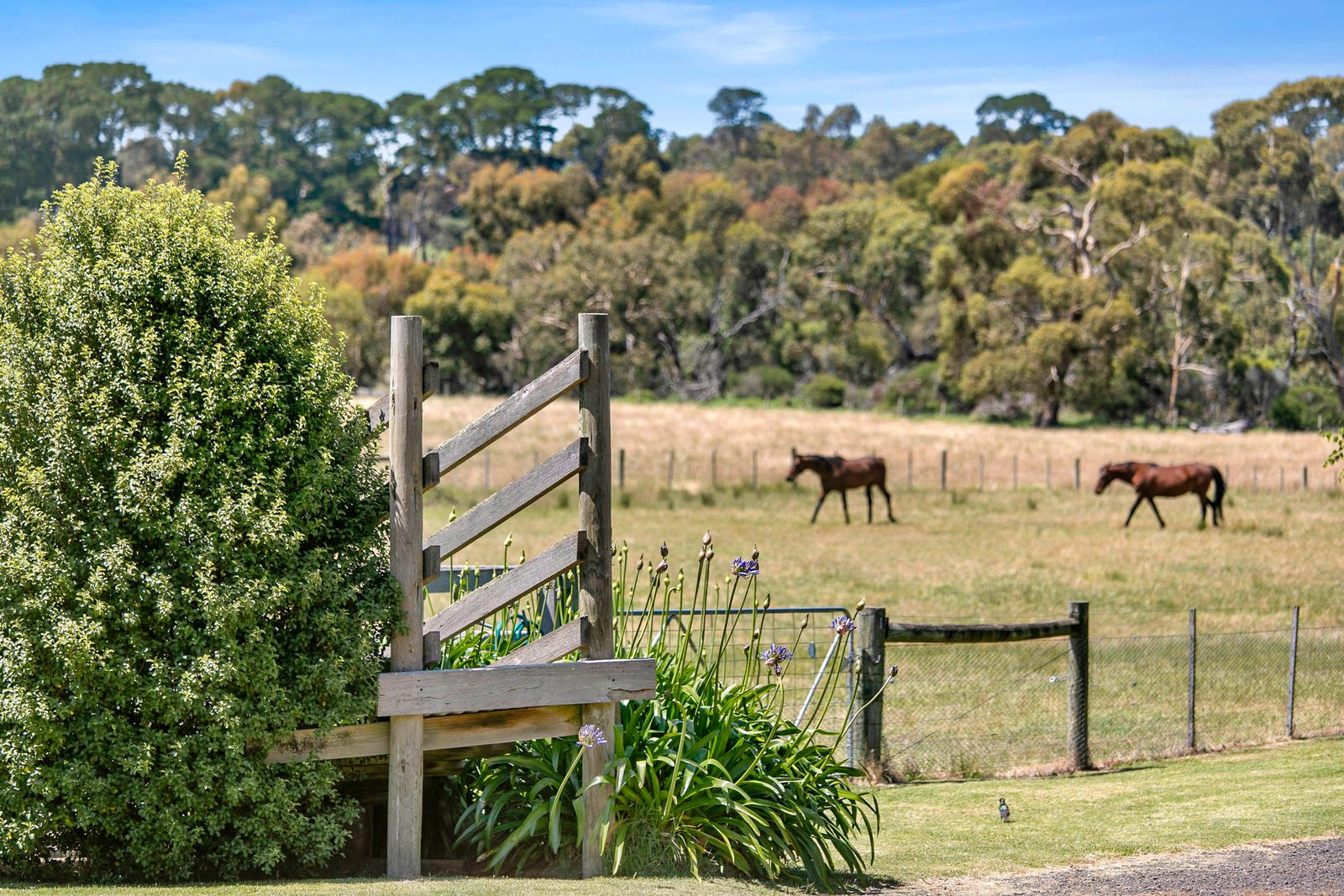 Real Estate and Property in 111-119 Rhinds Road, Wallington, VIC