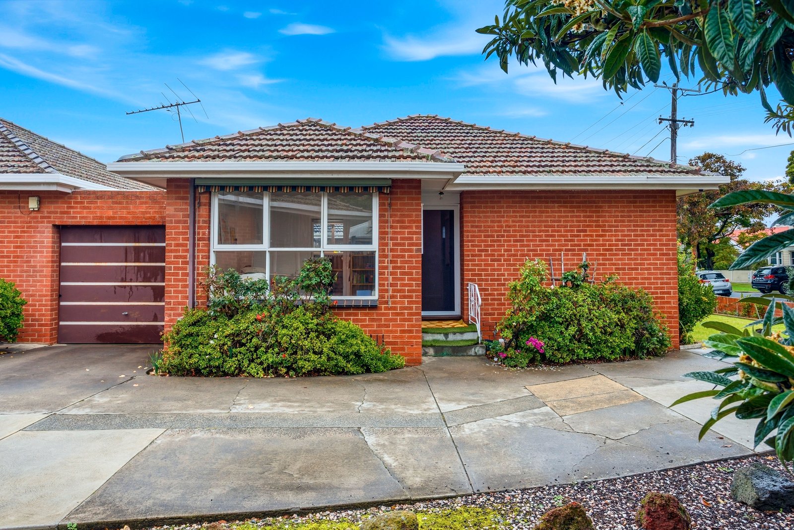 Gallery: 1/11 Bishop Street