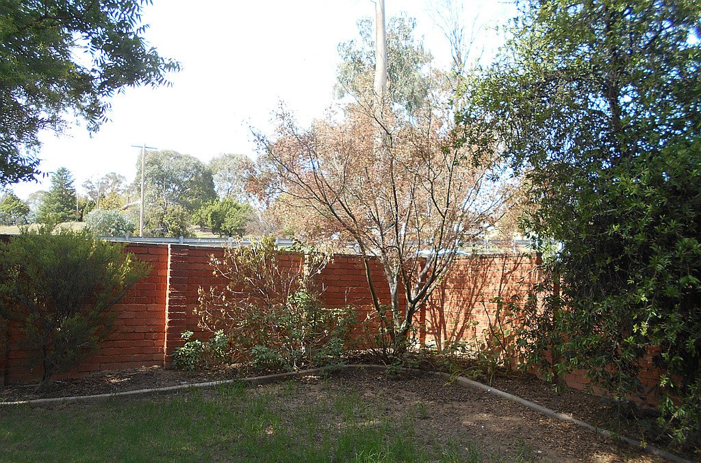 1/11 Blowering Road TUMUT 22