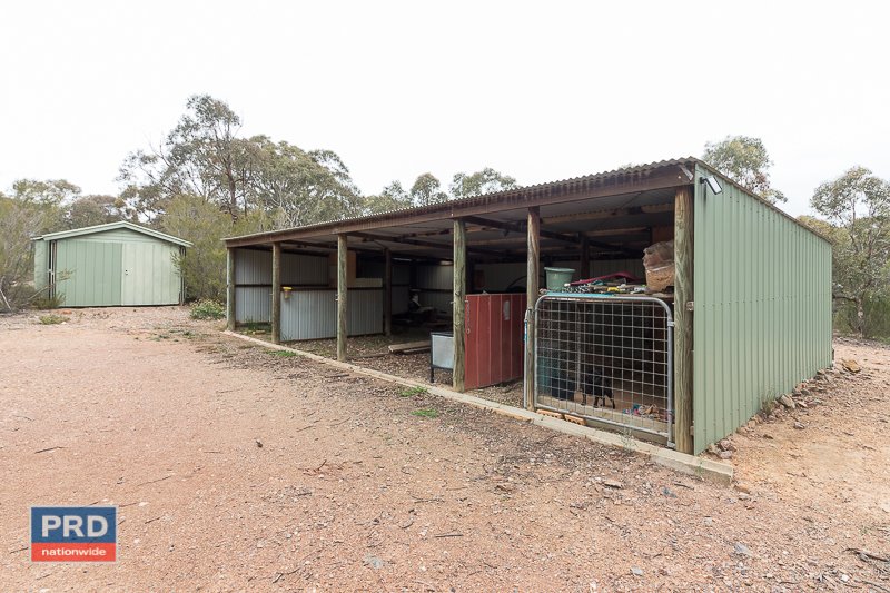 111 Clydesdale Road CARWOOLA 25