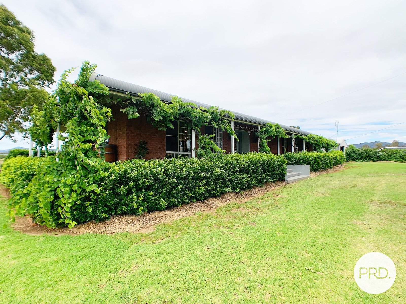 111 Duri-Winton Road TAMWORTH 17
