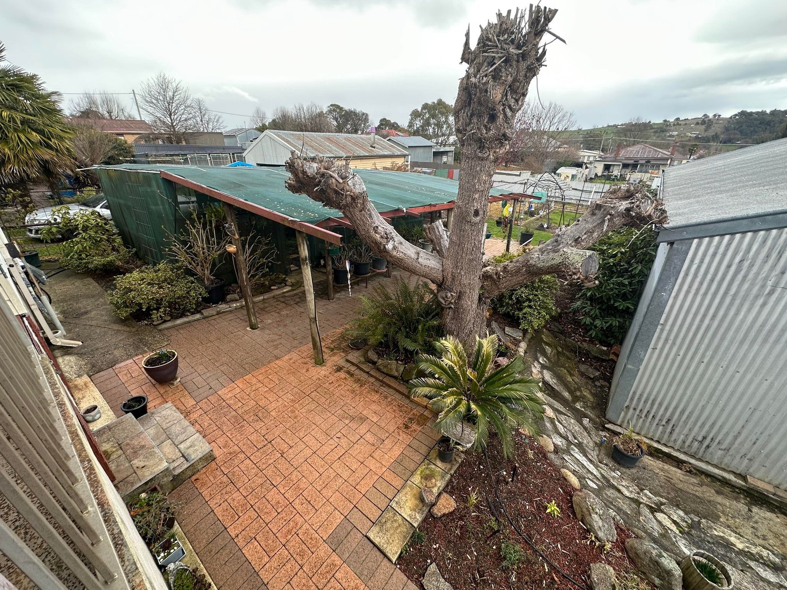 111 Gilbert Street TUMBARUMBA 11