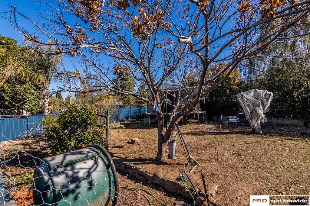 111 Goonoo Goonoo Road TAMWORTH 16