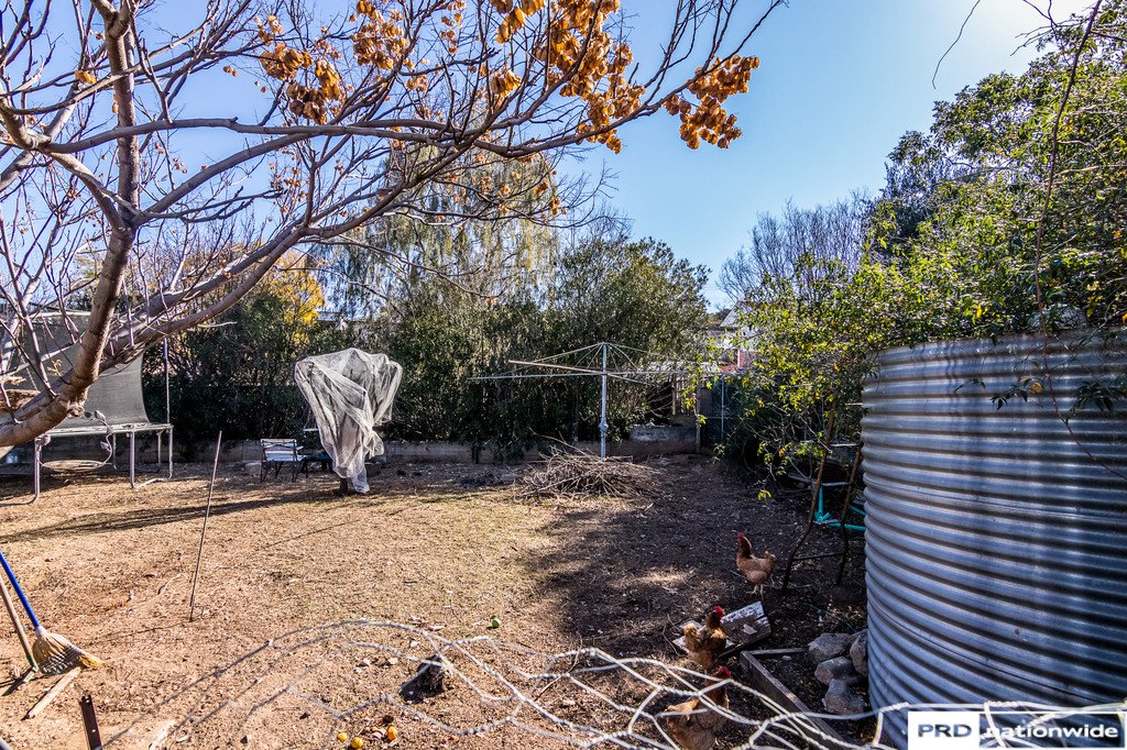 111 Goonoo Goonoo Road TAMWORTH 17