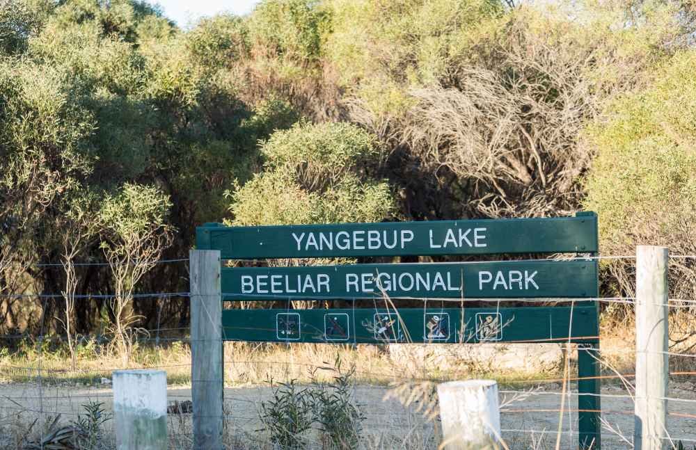 11/1 Kentucky Court COCKBURN CENTRAL 13