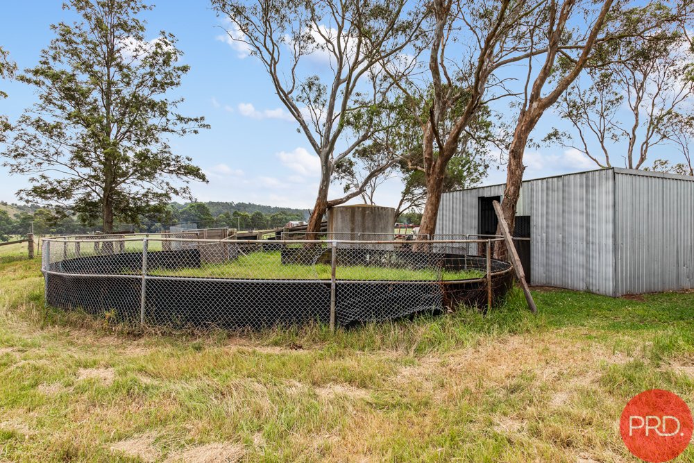 111 Pywells Road LUSKINTYRE 4
