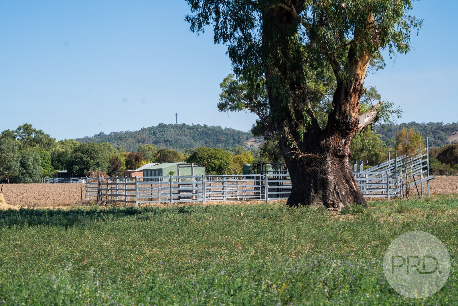 111 River Road WAGGA WAGGA 15