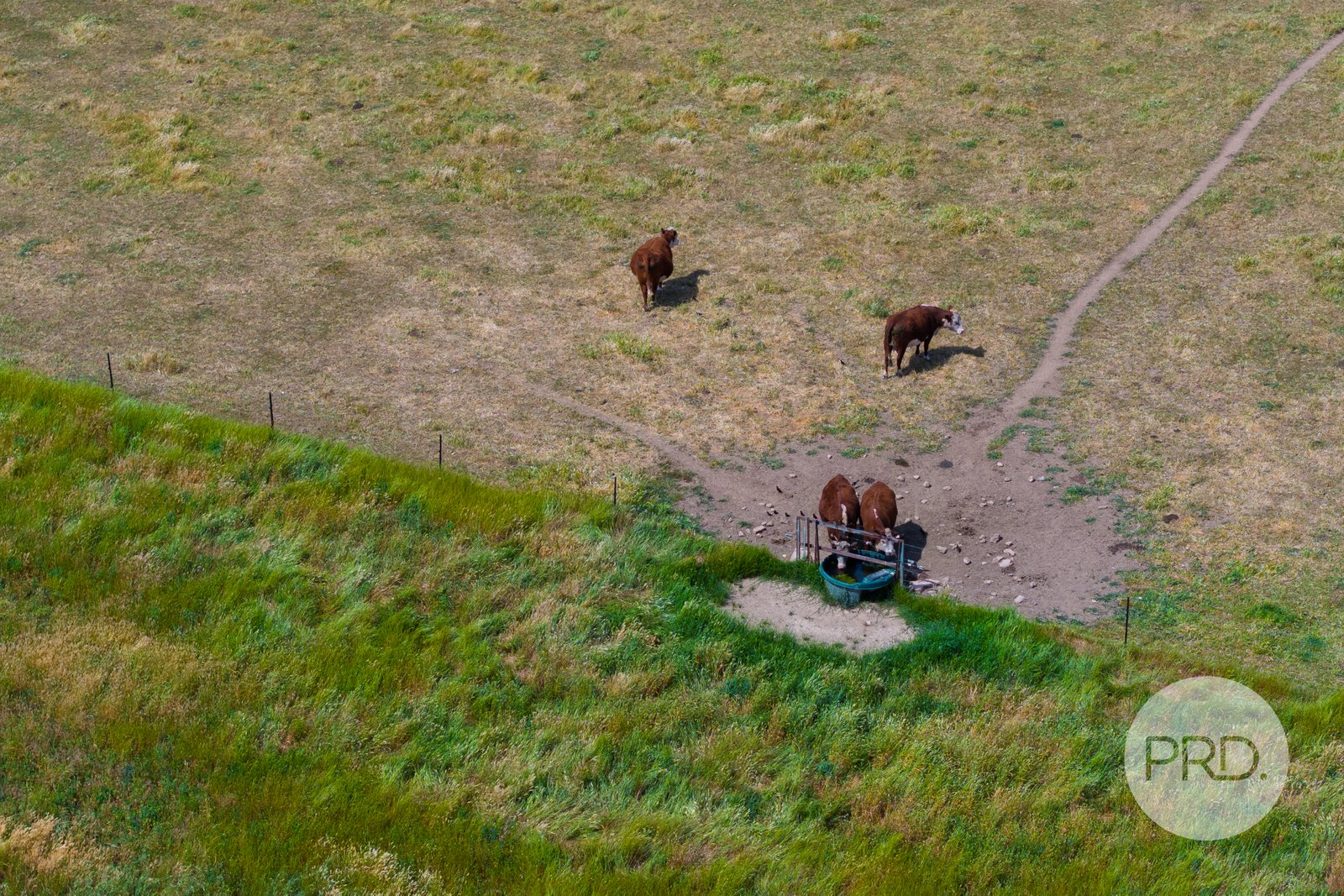 111 River Road WAGGA WAGGA 28