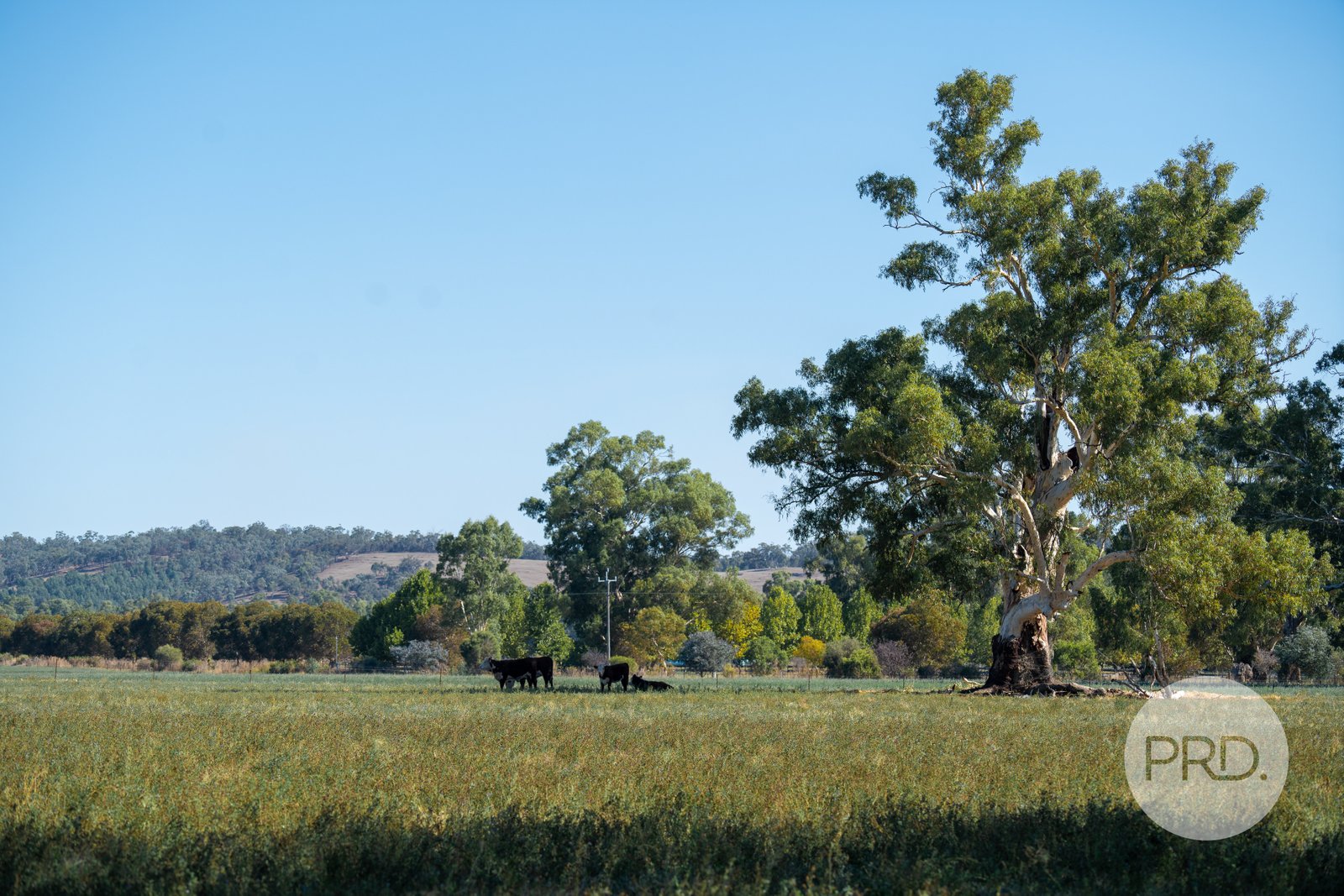 111 River Road WAGGA WAGGA 29