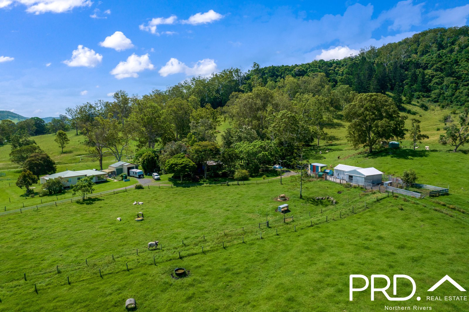 111 Spring Grove Road CANIABA 2