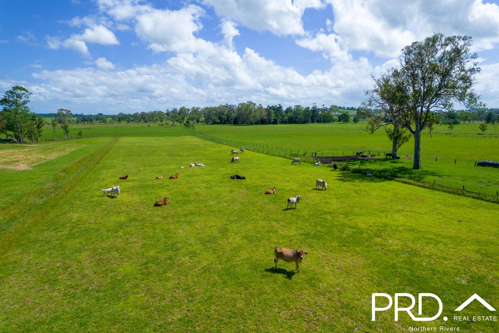 111 Spring Grove Road CANIABA 4