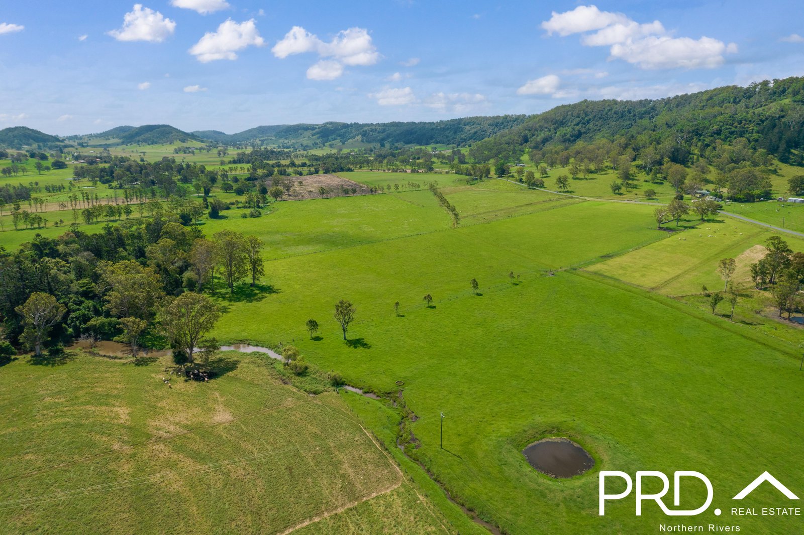 111 Spring Grove Road CANIABA 5