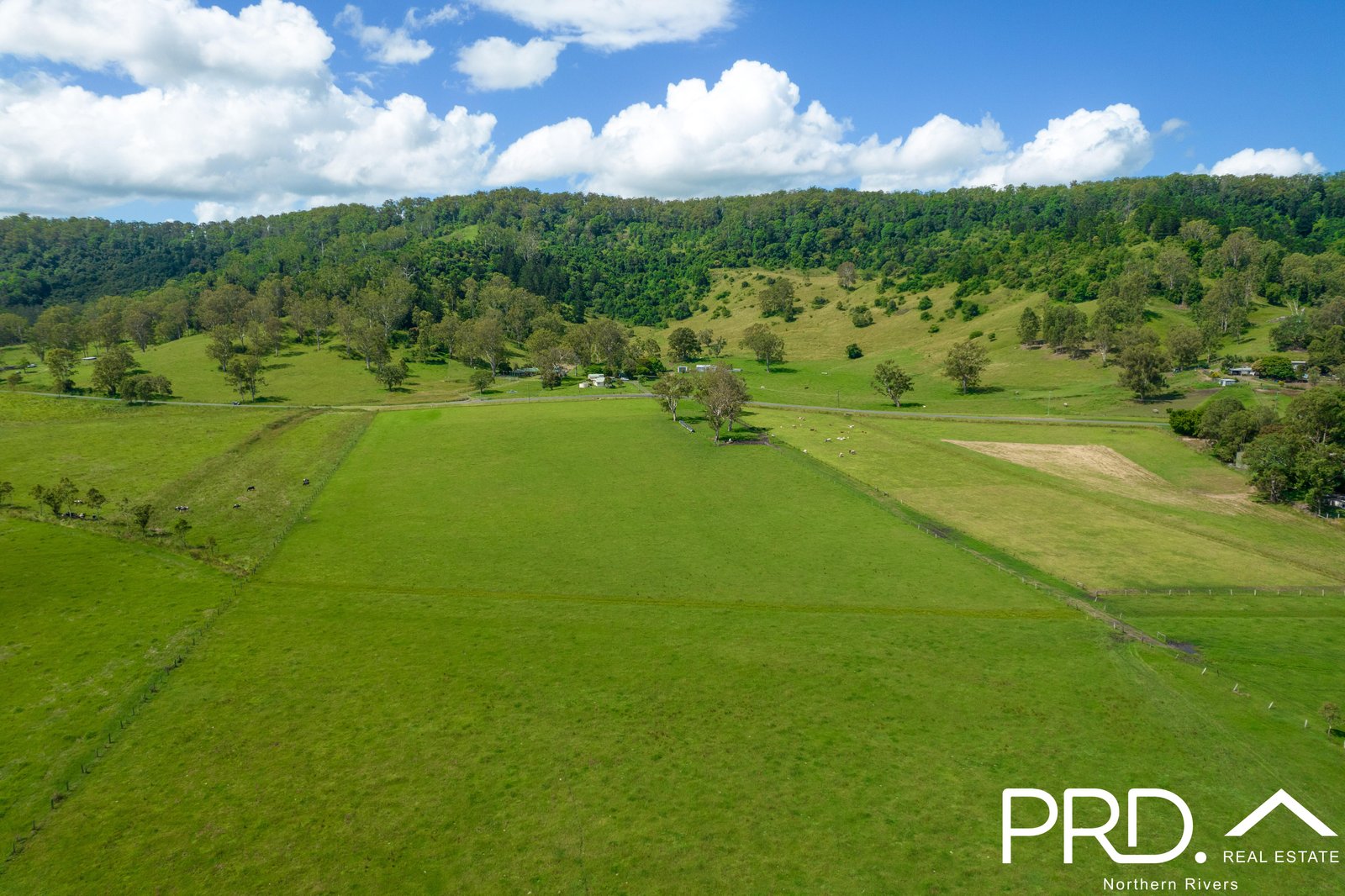 111 Spring Grove Road CANIABA 6