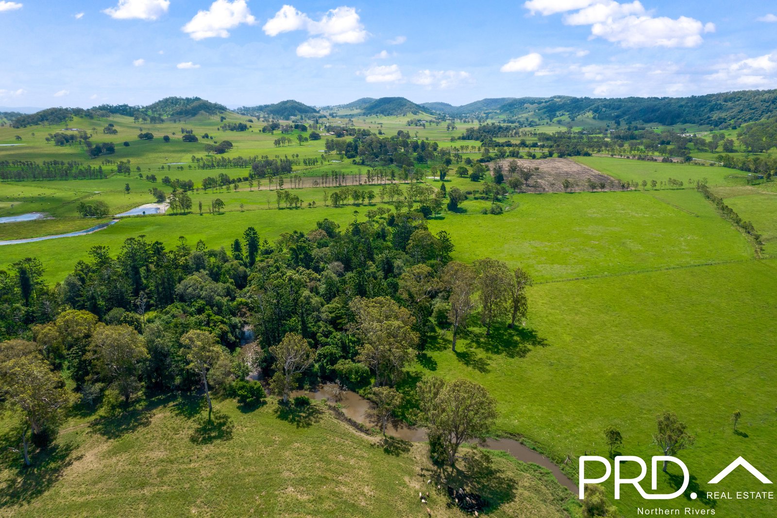 111 Spring Grove Road CANIABA 20