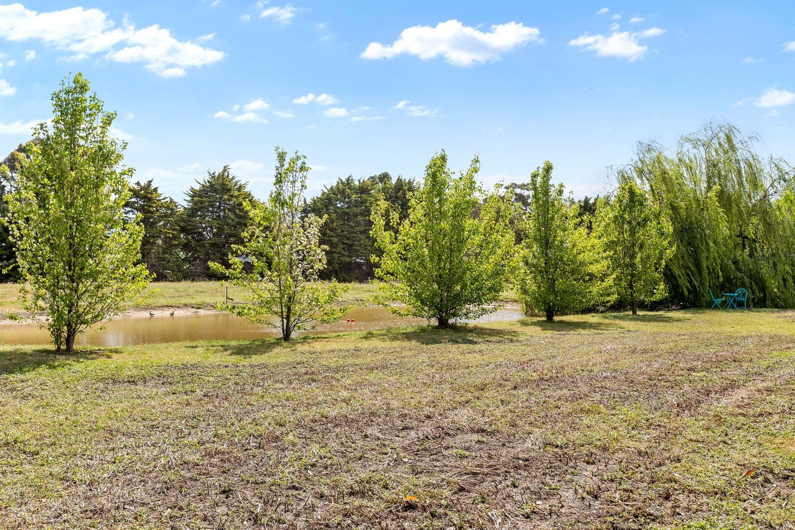 Real Estate and Property in 1110 Portarlington Road, Curlewis, VIC