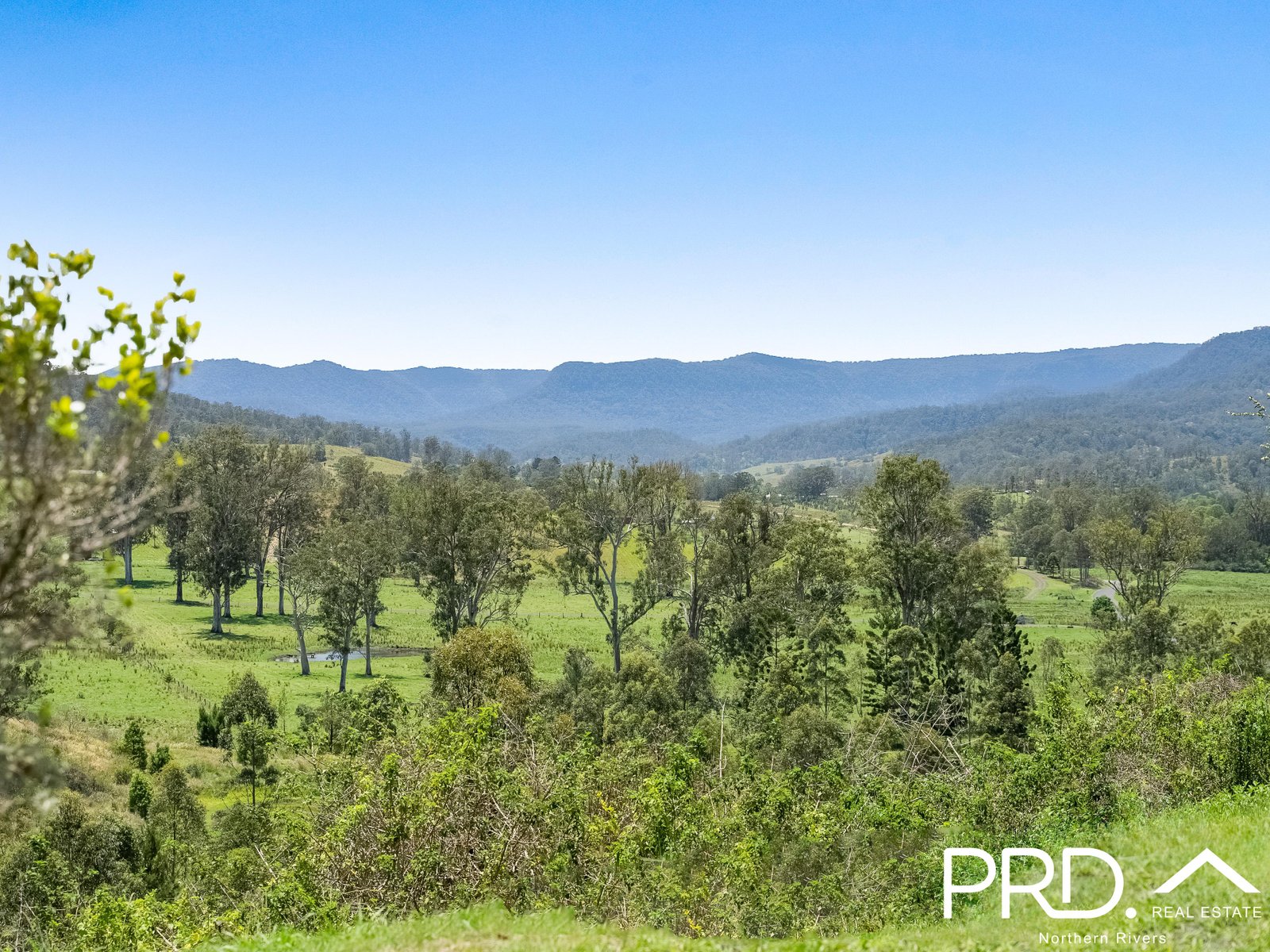 1111 Collins Creek Road KYOGLE 7