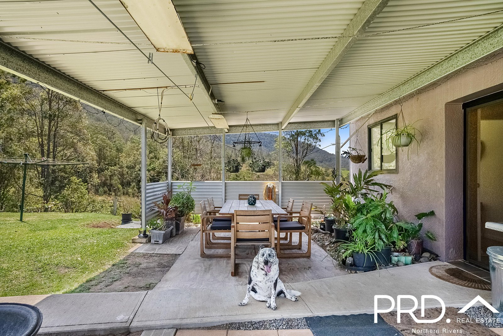 1111 Collins Creek Road KYOGLE 24