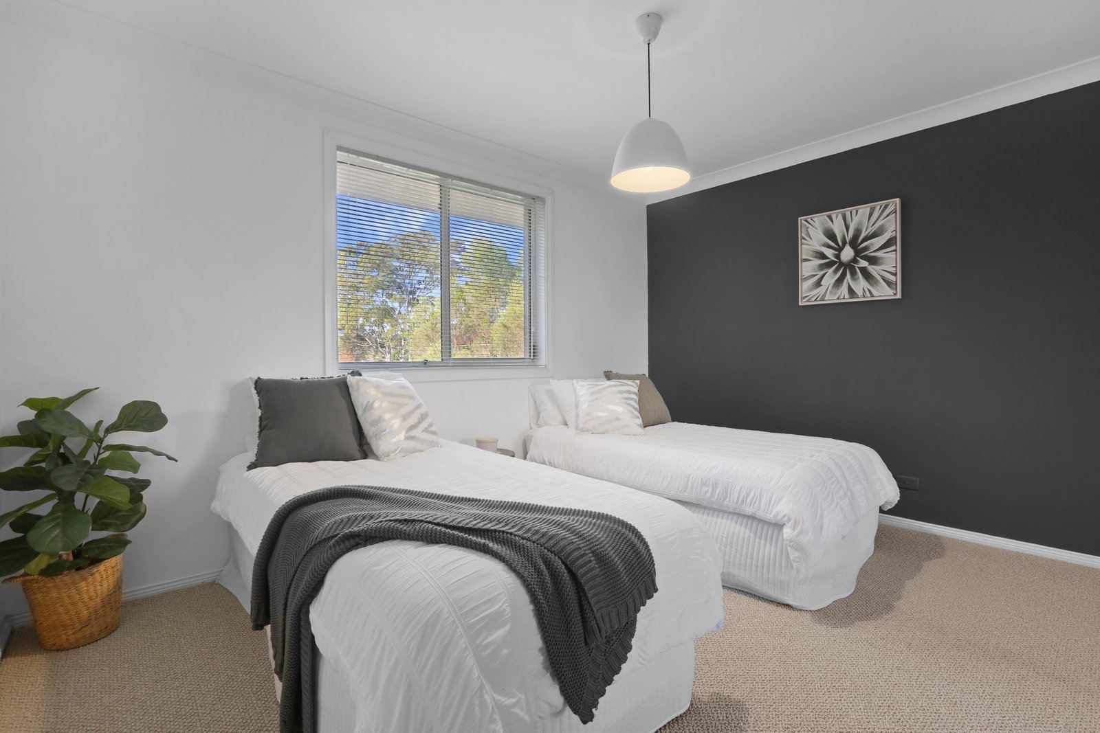 11/116 Avondale Road AVONDALE 7