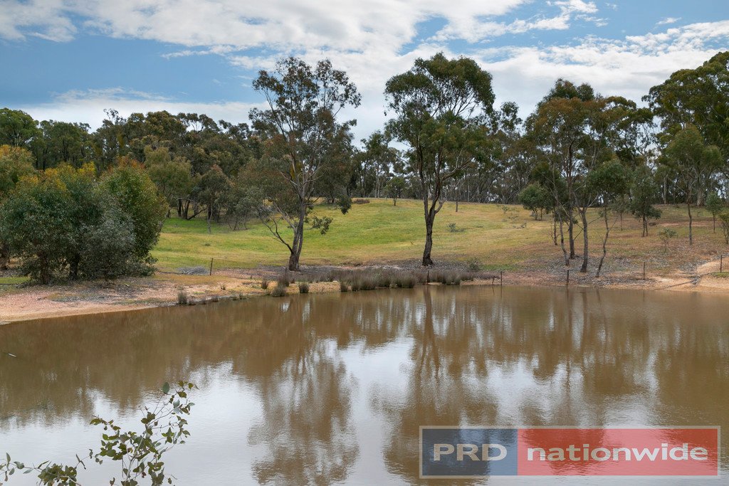 1117 Lexton-Talbot Road BURNBANK 10
