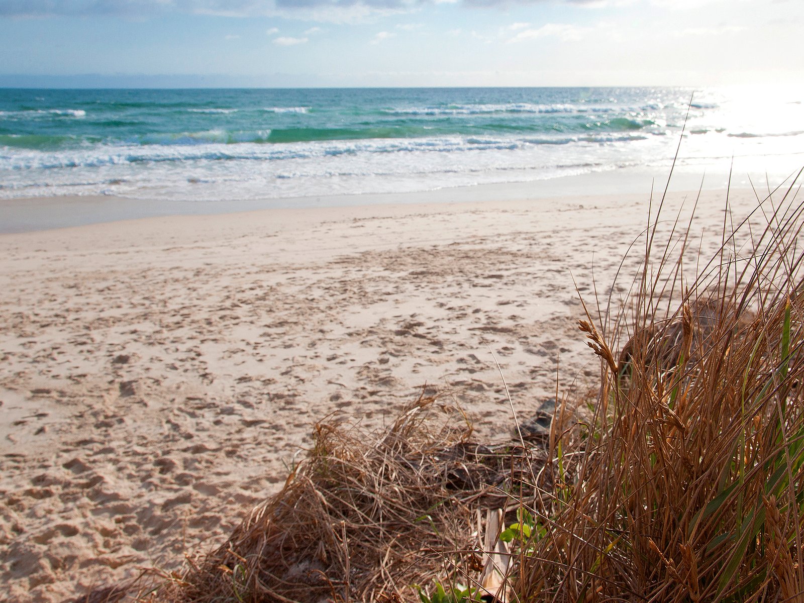 1/1194 Gold Coast Highway PALM BEACH 13