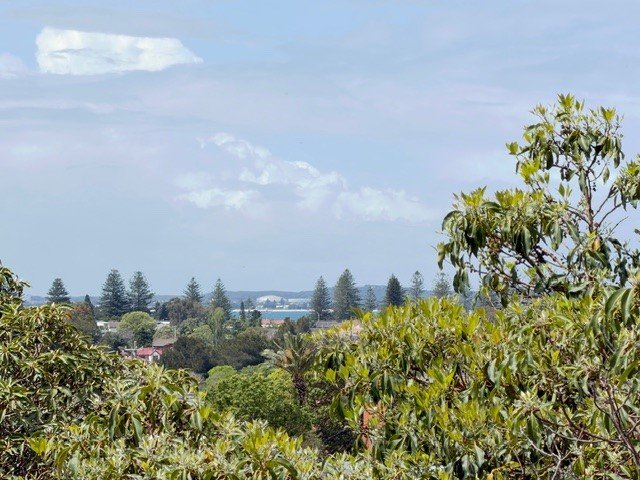 11/2-4 French Street KOGARAH 9