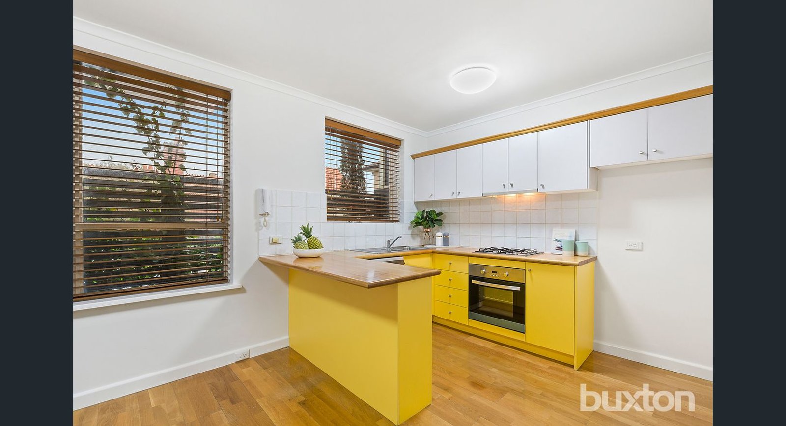 Gallery: 11/2 Emilton Avenue