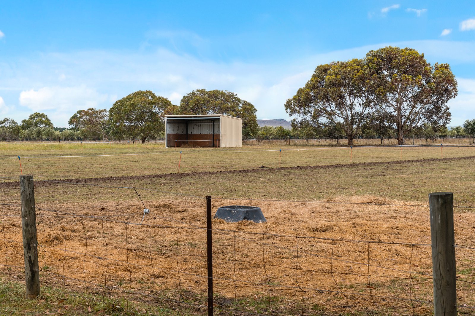 Real Estate and Property in 112 Mcdonalds Lane, Riddells Creek, VIC