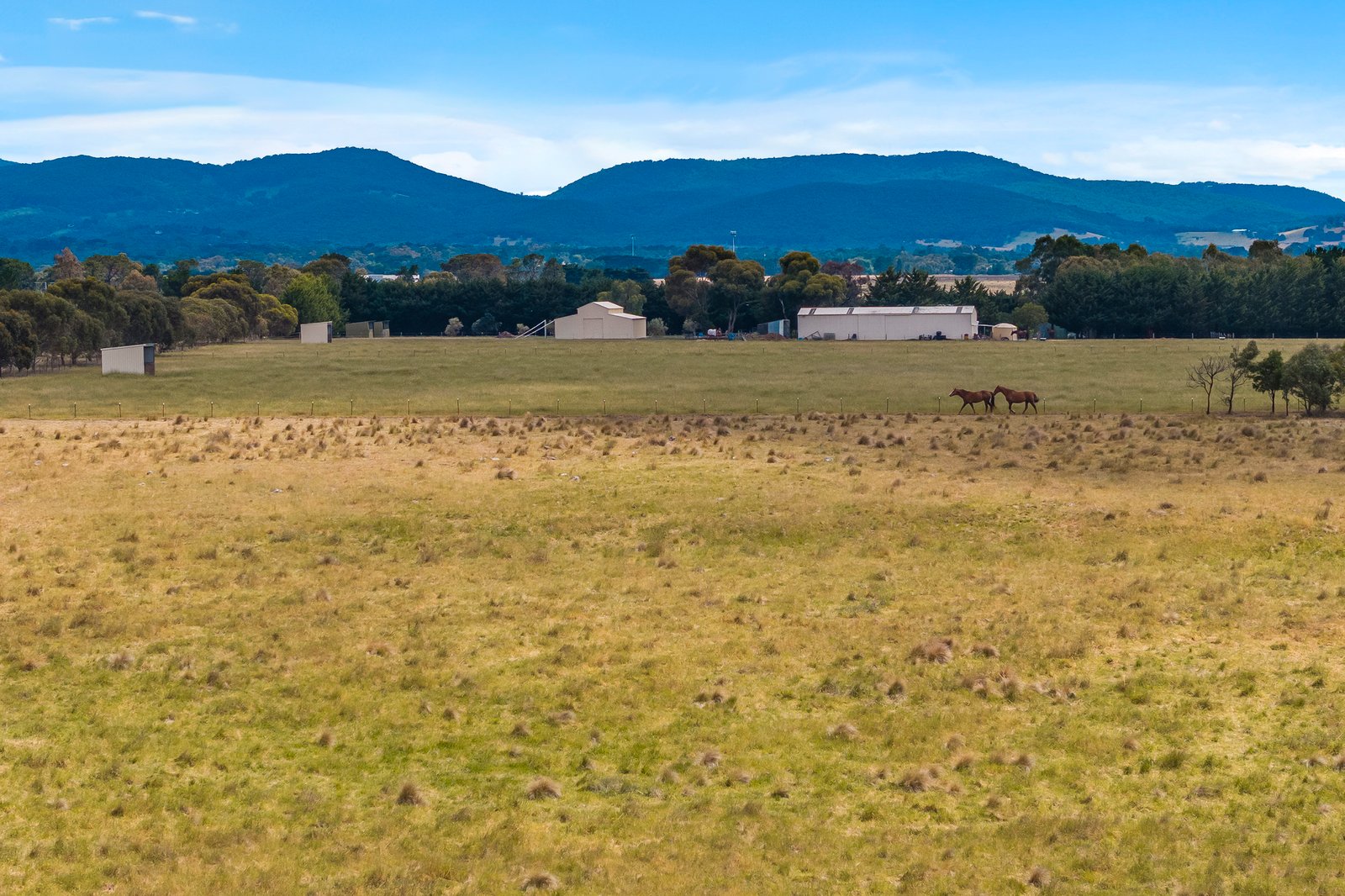 Real Estate and Property in 112 Mcdonalds Lane, Riddells Creek, VIC