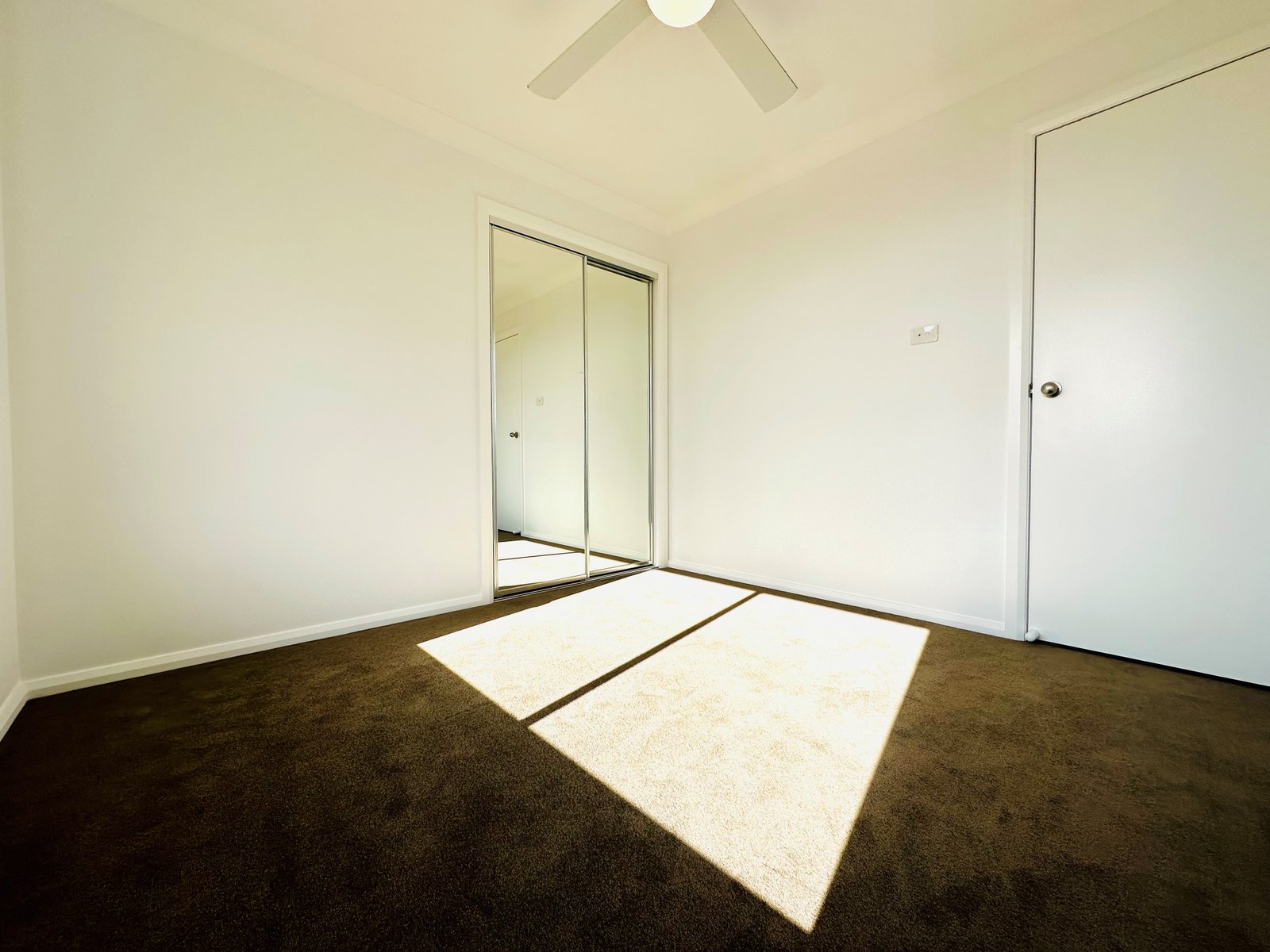 1/12 Mustang Close TAMWORTH 16