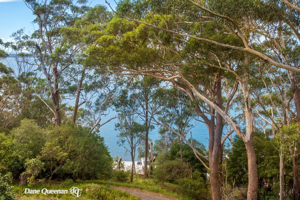 11/2 Thurlow Avenue NELSON BAY 3