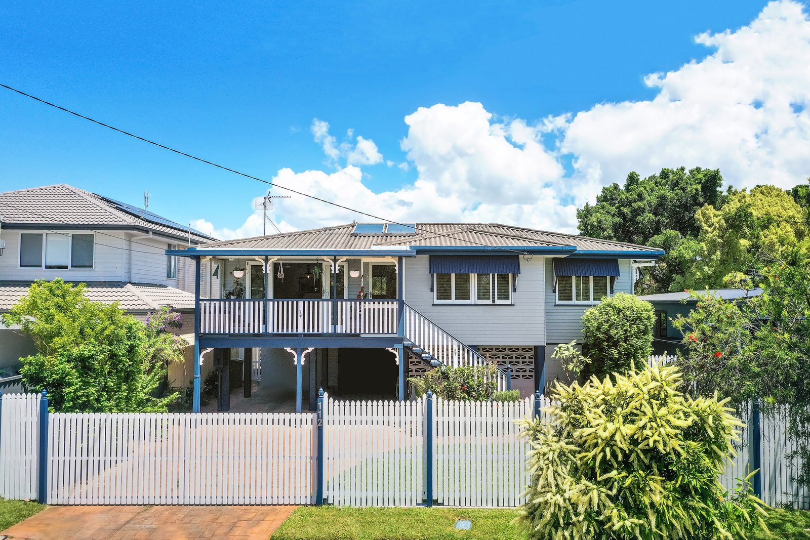 112 Whiting Street LABRADOR 4
