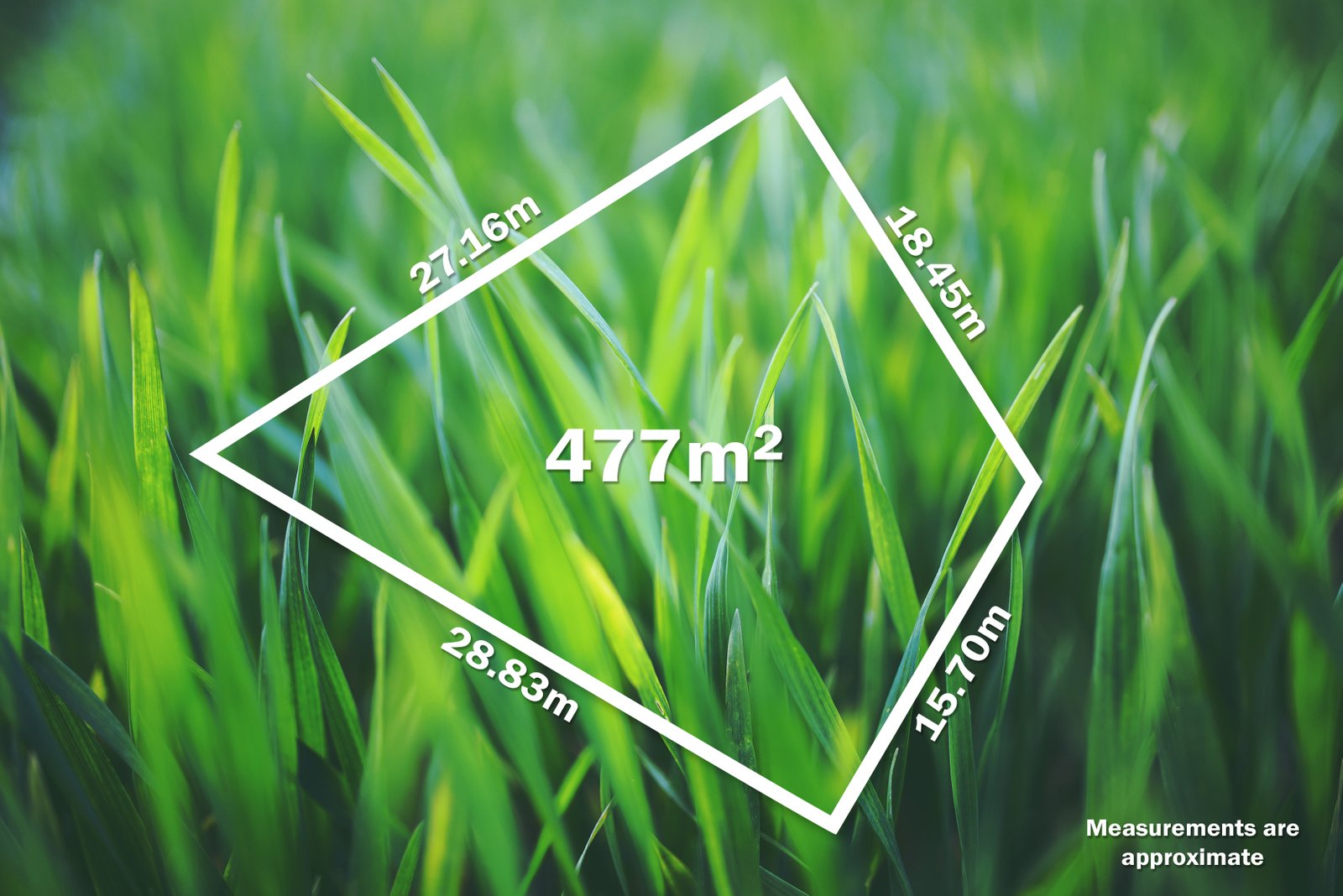 1/12 Williams Street CRESWICK 2