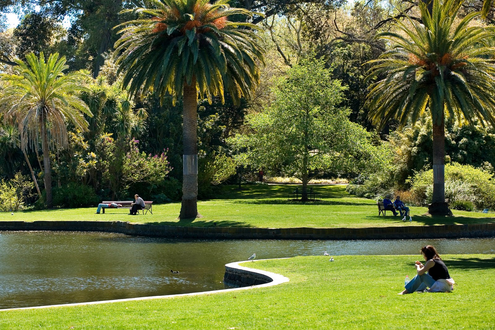 Real Estate and Property in 1/128 Millswyn Street, South Yarra, VIC