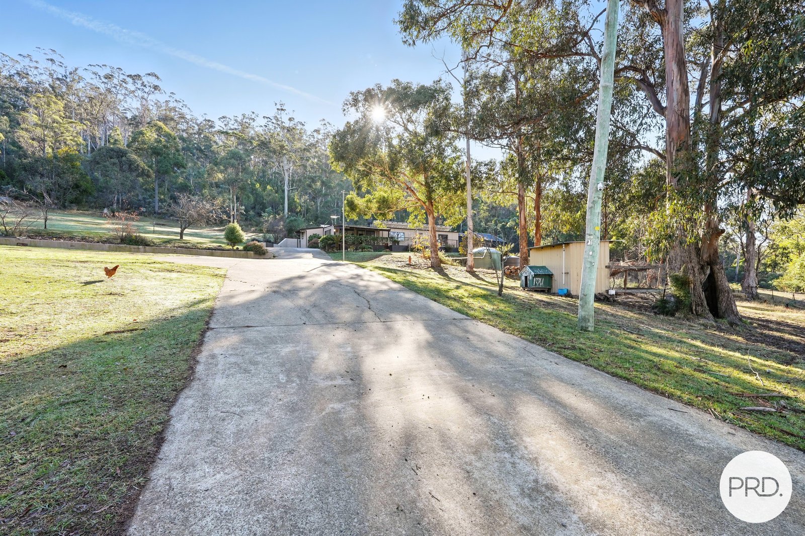 1129 Nugent Road WATTLE HILL 7