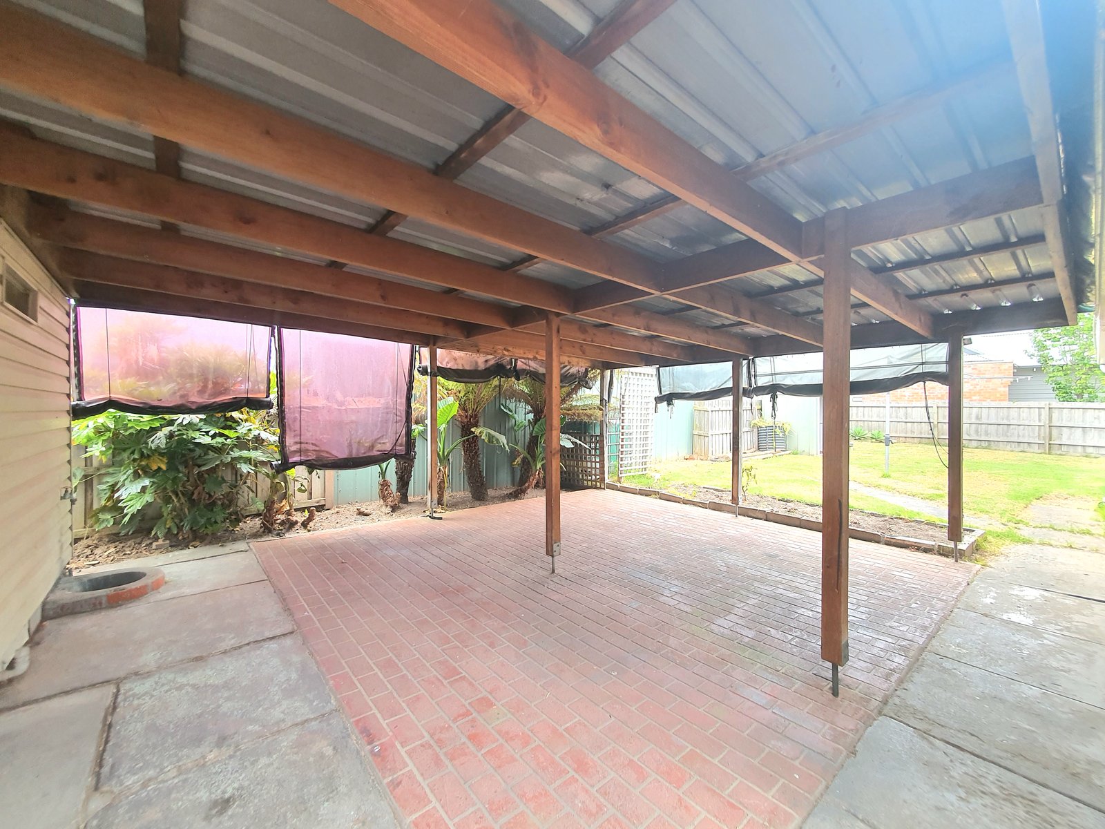 Gallery: 113 Carr Street