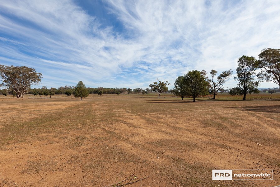 113 Fiona Drive TAMWORTH 7