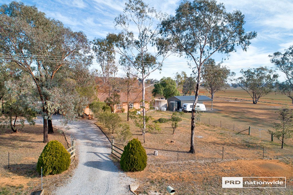 113 Fiona Drive TAMWORTH 19