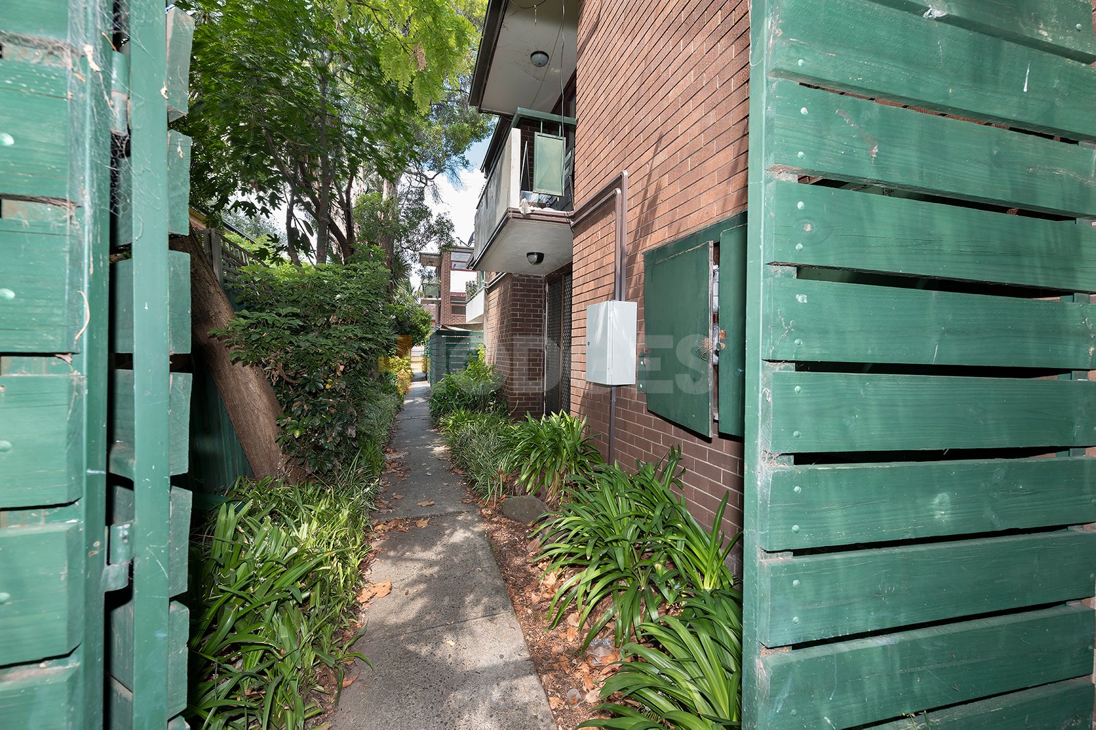 Gallery: 11/3 Gordon Street