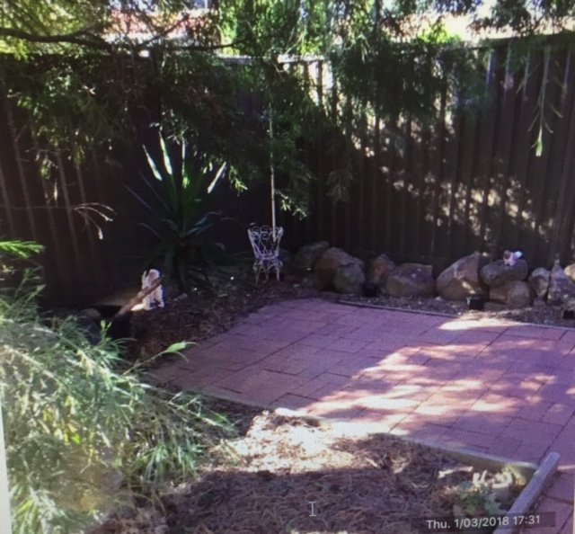 Gallery: 1/13 Iona Drive