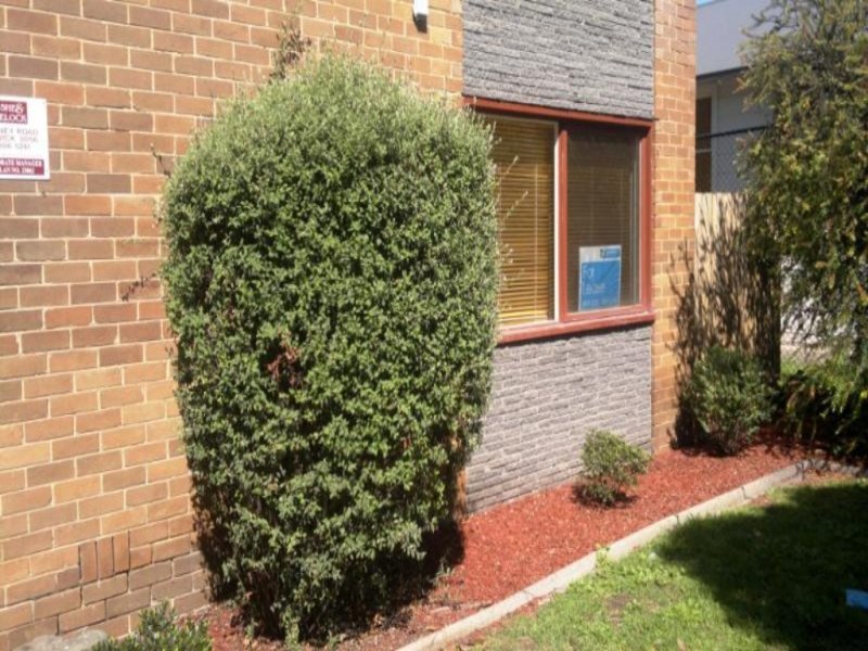 Gallery: 1/13 Ormond Road