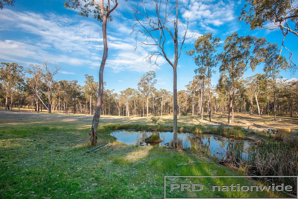 113 Sheppeard Drive RICHMOND VALE 1