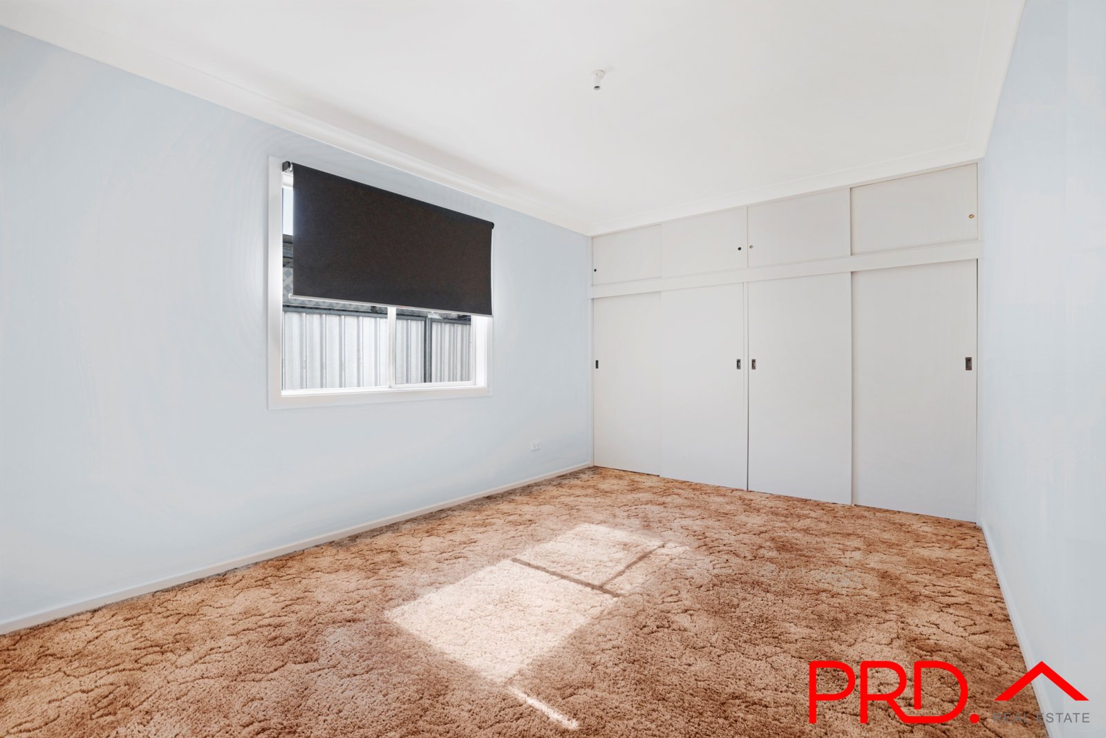 113 Single Street WERRIS CREEK 11