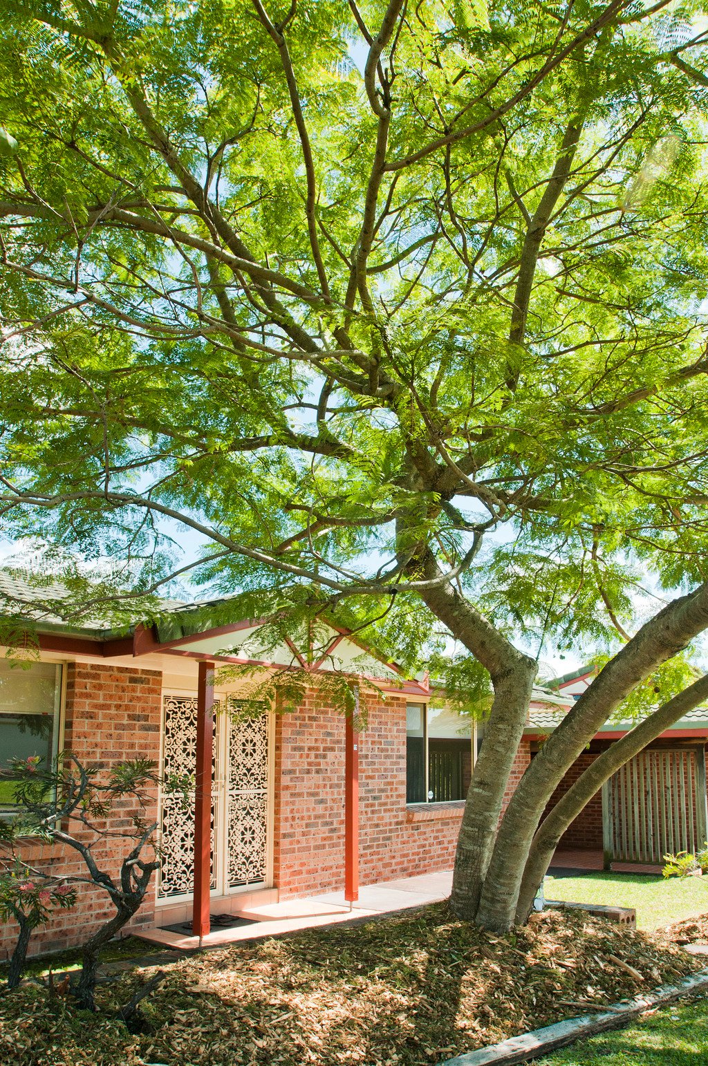 11/31 Julianne Street DAPTO 1