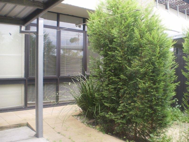 Gallery: 113/200 Stephen Street