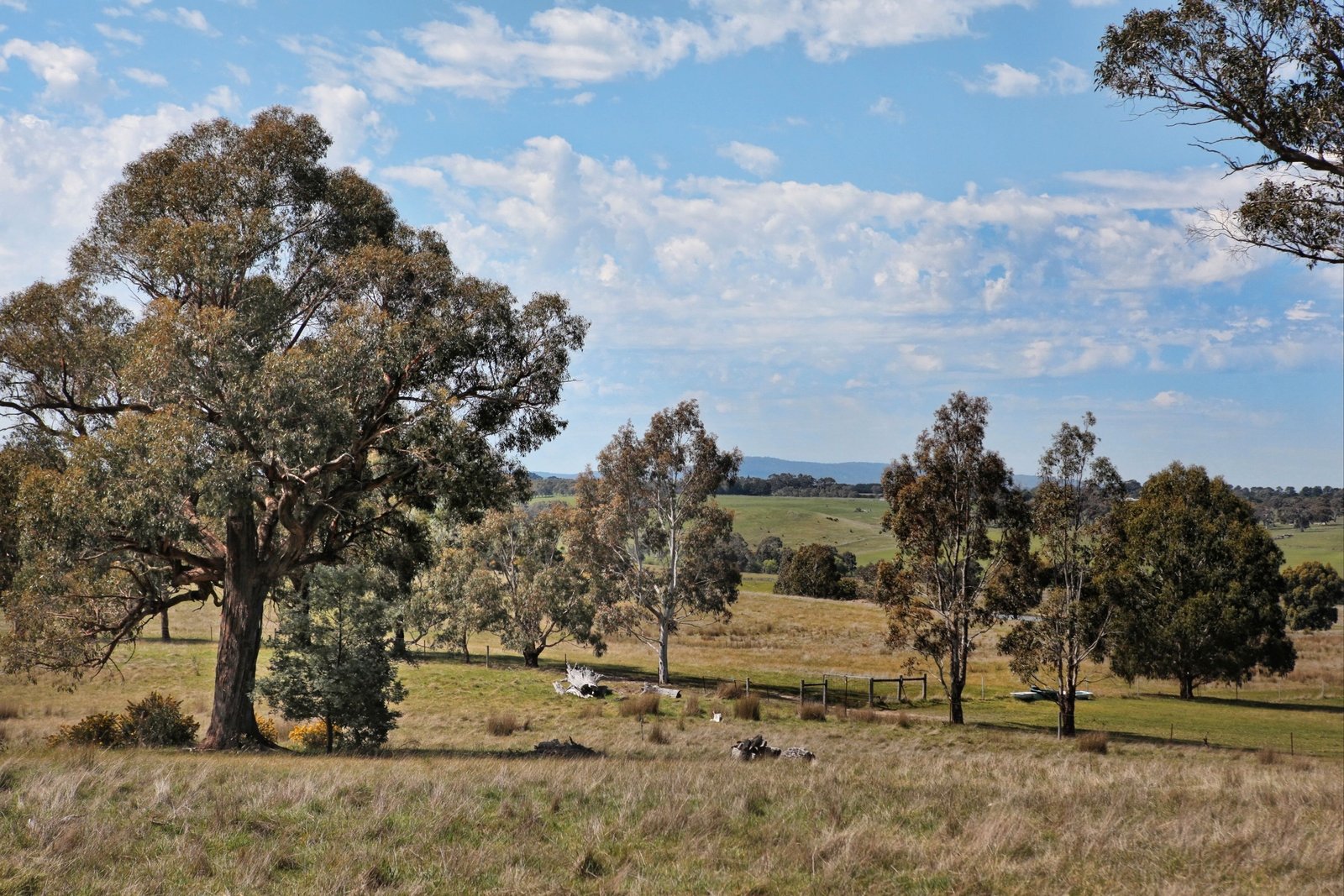 Real Estate and Property in 1134 Trentham Road, Tylden, VIC