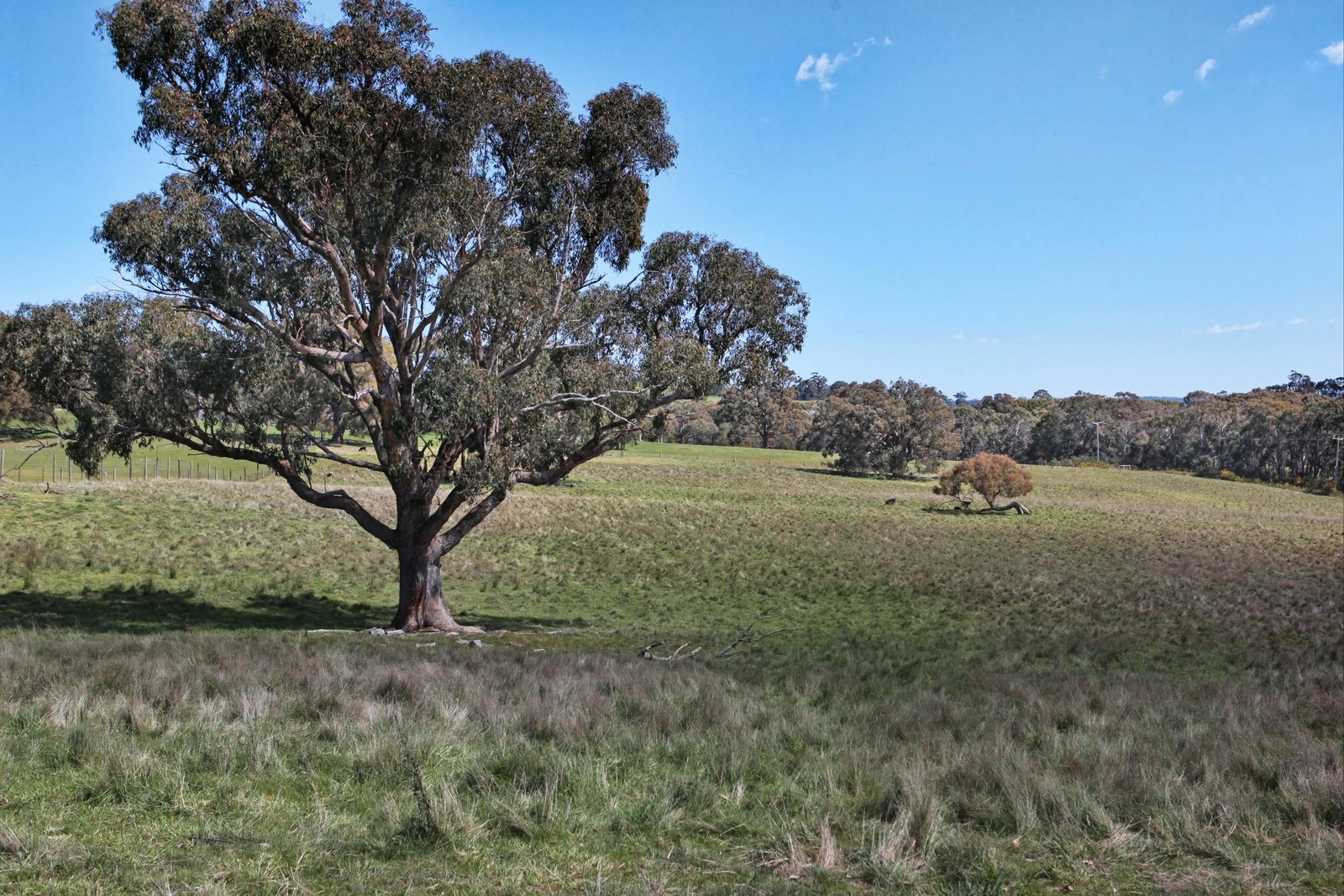 Real Estate and Property in 1134 Trentham Road, Tylden, VIC