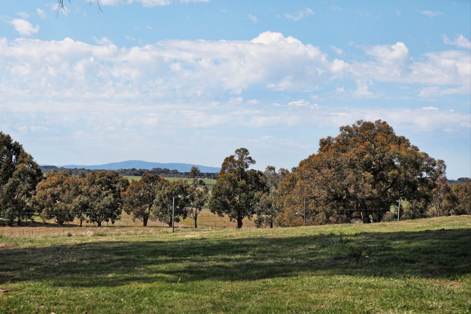 Real Estate and Property in 1134 Trentham Road, Tylden, VIC