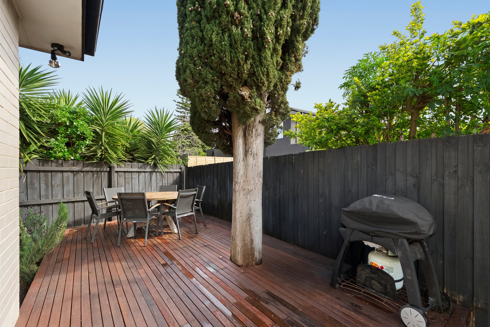 Gallery: 11/4-6 Maxwell Court