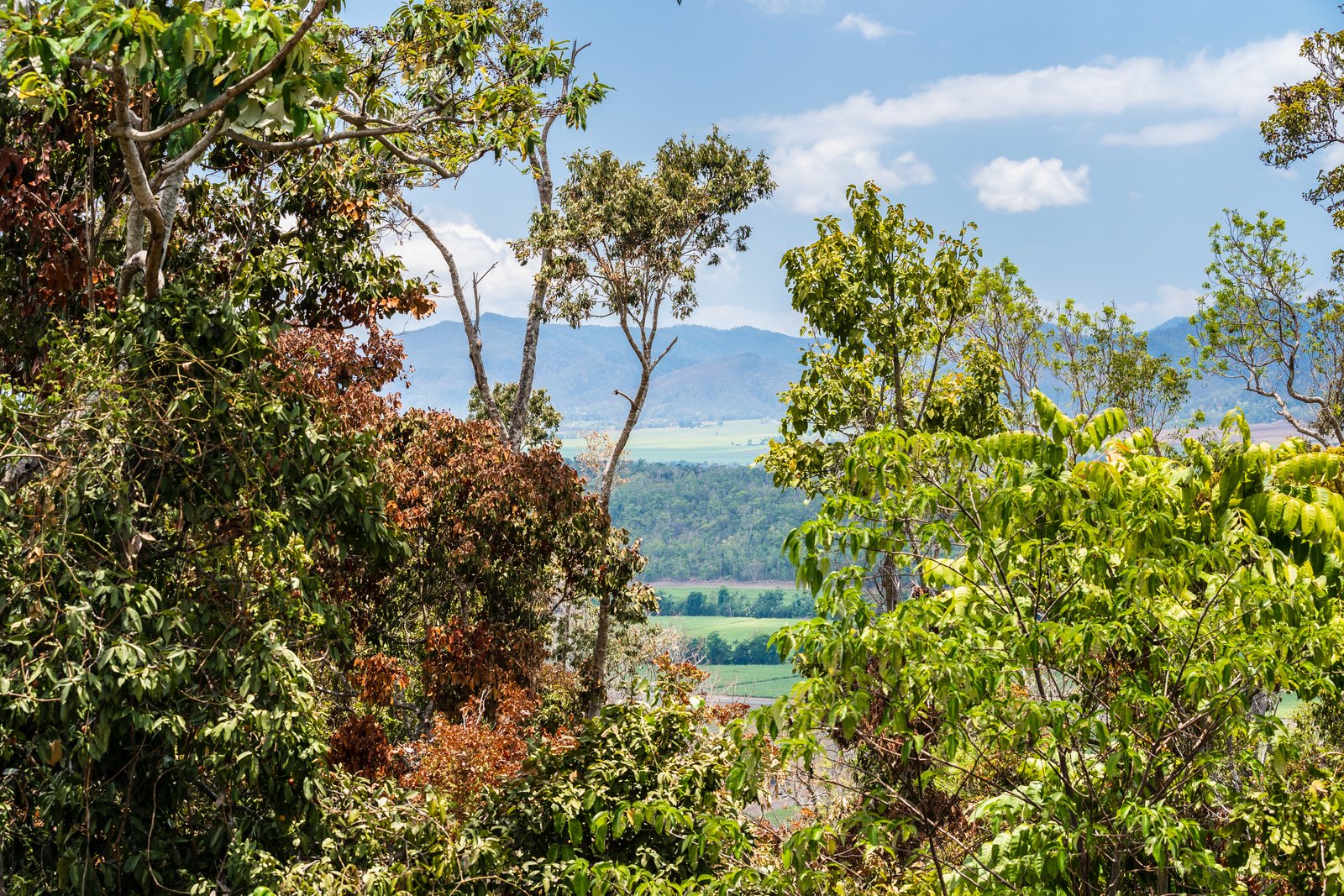 114 Camille Drive STRATHDICKIE 20